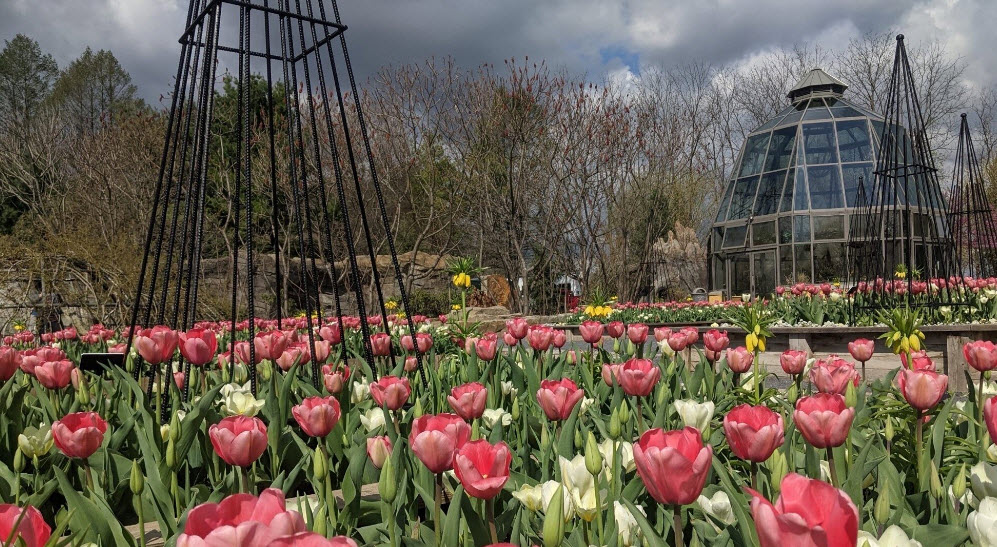 Arboretum at Penn State, United States